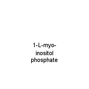 1-L-myo-inositol phosphate